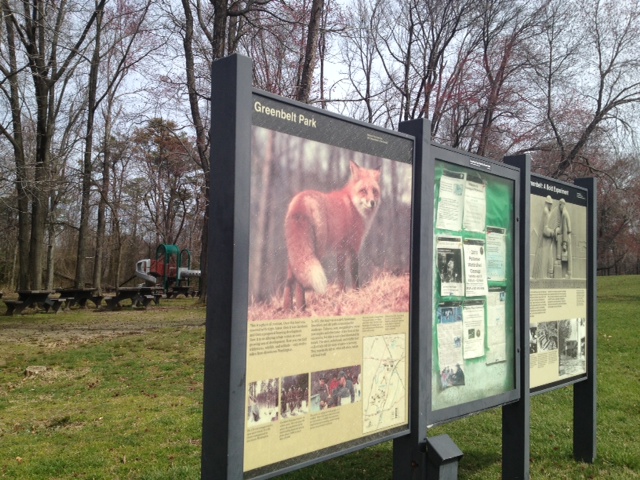 Out and About in Prince George’s County: Greenbelt Park